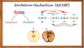 Maybe you would like to learn more about one of these? Soal Kimia Kelas 10 Semester 2 Materi Reaksi Redoks Materi Kimia