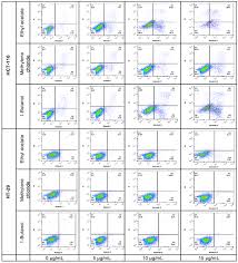 Image result for Lantana ukambensis