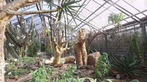 Sie sind spannende lernorte und hochwertige erholungsräume für erwachsene. Ein Flug Durch Die Botanischen Garten Der Universitat Bonn Angela Recino Bewegte Kommunikation Youtube