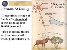 Carbon dating dinosaur bones is ludicrous, and the fact they yielded numbers is meaningless, krishtalka said. Dating Of Fossils Evolution Best Online Dating Website Reviews