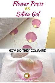 Orange & yellow flowers dry with the most vibrancy, while purple and how to give dried flowers shape. Drying And Preserving Flowers For Resin How To Preserve Flowers Dried Flowers Diy Pressed Flowers