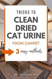 How To Clean Dried Cat Urine From Carpet 3 Easy Methods In 2020 Cleaning Pet Urine Carpet Cleaning Hacks Urinal