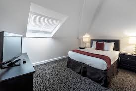 Apartment basement cats allowed cheap children friendly condo for couples atlanta ga. Hotel Suites In Atlanta Artmore Hotel