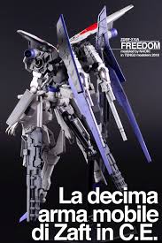 naoki freedom ガンダム ガンプラ プラモ