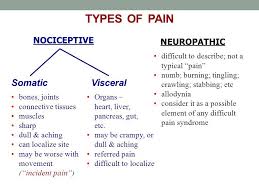 Pin On Nurturing My Soul With Nursing