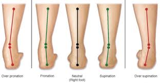 Learn vocabulary, terms and more with flashcards, games and other study tools. Calf Muscle Tightness Achilles Tendon Length And Lower Leg Injury Mountain Peak Fitness