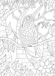 The original format for whitepages was a p. Bird On Branch Birds Adult Coloring Pages