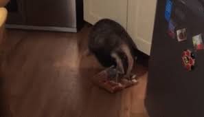 Image result for tbn:LDWriK6APZkVpM::www.spidart.com/uploads/post/image/2112/thumb_smiley_bisous.gif