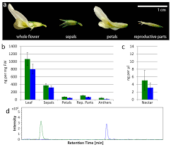 Remember settings), performance cookies to measure the website's performance and improve your experience, advertising/targeting cookies, which are set by. Insects Free Full Text Honeybees Tolerate Cyanogenic Glucosides From Clover Nectar And Flowers Html