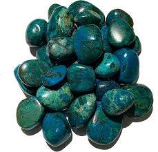 Image result for Chrysochloa