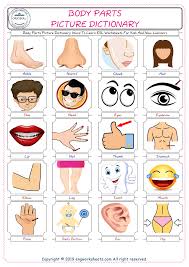 Then you're most certainly in the right place. Body Parts English Worksheet For Kids Esl Printable Picture Dictionary Image Preview