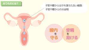 生理前と妊娠初期のおりものはどう違う？おりもので気づく体調の変化と対策｜wakanote