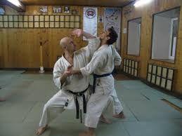 Традиционное окинавское карате. Интервью с Николаем Коровиным — Боевой  спорт - боевые искусства, КроссФит, ЗОЖ