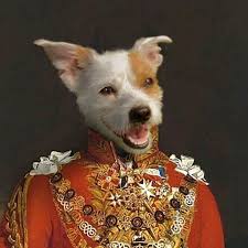 If you love the style of this particular royal pet portrait and would like one of our dog artists to hand paint your dog so they look like royalty, please. Sketchgrowl Pet Portraits Sketchgrowl Twitter