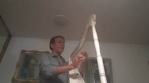 Cosita Rica Youtube