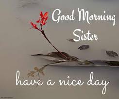 13 good morning images to forget yesterday. 120 Lovely Good Morning Wishes And Greetings For Sister Good Morning Wishes Good Morning Sister Images Good Morning Sister