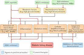 Effects of losartan on renal and cardiovascular outcomes in patients with type 2 diabetes and nephropathy. A Promising Outlook For Diabetic Kidney Disease Nature Reviews Nephrology