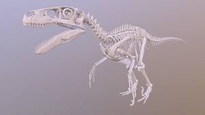 It lived during the early cretaceous epoch. Utahraptor Skeleton Download Free 3d Model By Mithoskuu Lordmithos 3aba8c3