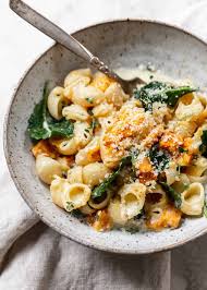 Pumpkin Pasta In Parmesan Garlic Cream Sauce Recipe Pumpkin Pasta Pasta Dishes Vegetarian Recipes