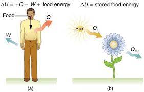 We did not find results for: The First Law Of Thermodynamics Physics