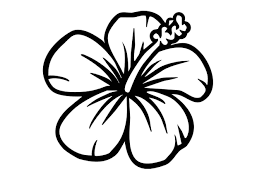 You can download, favorites, color online and print these hawaiian flower for free. Pin By Dawn Tuohy On Kayak Vinyl Easy Flower Drawings Hawaiian Flower Drawing Hibiscus Drawing