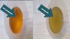 How To Make Homemade Pregnancy Test With Dettol Pregnancy Test With Dettol Youtube