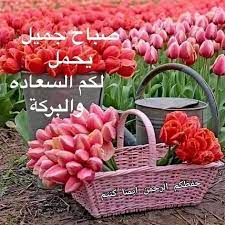 الصبـــــاح بســتان جمـيل تـــفوح من أزهاره رائحة التفـــاؤل وعبير الأمل ونسمــــات الخير اللهـــم ب islamic gifts beautiful chickens decorative wicker basket