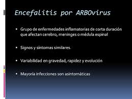 Rotavirus sintomas prevencion y tratamiento. Transmitidos Por Artropodos Ppt Video Online Descargar