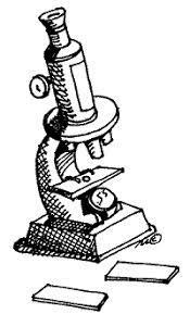 Some of the worksheets displayed are lesson 7, chapter 7 1 life is cellular answer key, cell ebrate science without work, study guide and reinforcement, biology i workbook, matthew fisher, life science teachers edition te. Untitled Document