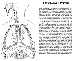 This is not a typical coloring book and would better be termed a coloring workbook. Welcome To Dover Publications Biology For Kids Anatomy Coloring Book Dover Publications