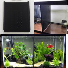 Betta Fish Tank Dividers Betta Aquarium Betta Fish Tank Buy Fish Tank