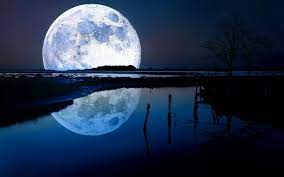 We did not find results for: The Blue Moon Hd Wallpapers Pixelstalk Net