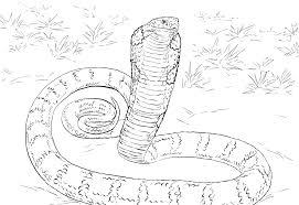 King Cobra Snake Coloring Pages For Kids E1531692096531 Cobra Snake Color Coloring Color Snake Coloring Pages Coloring Pages Coloring Pages Inspirational