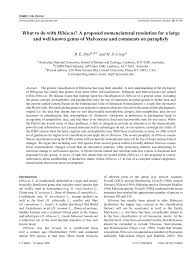 Image result for Hibiscus nigricaulis