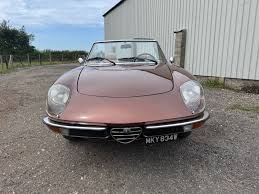 Image result for Giallo 1981 Alfa-Romeo