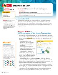 Dna replication webquest flashcards | quizlet start studying dna replication webquest. What Is The Base Pairing Rule For Dna