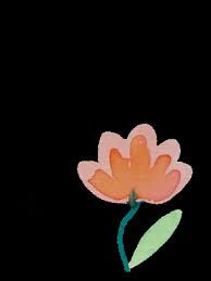 Search and download 61000+ free hd flower png images with transparent background online from lovepik. Orange Flower Gifs Get The Best Gif On Giphy