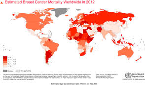 Breast cancer became the most common cancer globally as of 2021, accounting for 12% of all new annual cancer cases worldwide, according to the world health mutations in the brca1 and brca2 genes are the most common. Breast Cancer Epidemiology Prevention And Screening Sciencedirect
