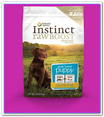 Pin On Best Dog Food