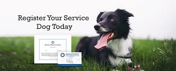 The best pet insurance ever by nationwide®. Psychiatric Service Dog Service Dog Certifications
