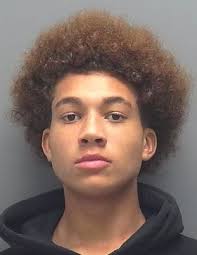 Teens accused of stealing truck in Cape Coral. Cops say technology helped  in arrests.