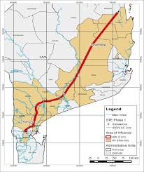 Image result for Bauhinia burrowsii