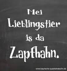 I Dad Song Lieblingstier Lustige Redewendungen Lustige Spruche Spruche