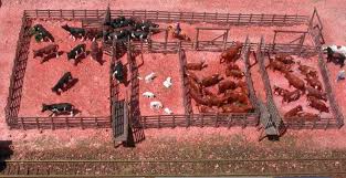 Maybe you would like to learn more about one of these? Dairy Barn Plans Cattle Farming Cattle