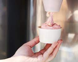 Local and family owned out of greenwich, ny. Bj Ice Cream Blender Japan Trend Shop