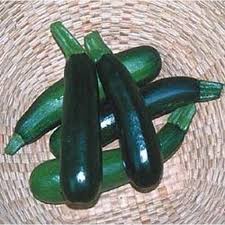 We did not find results for: Squash Zucchini Black Beauty Garden Heirloom Vegetable 30 Seeds Walmart Com Walmart Com