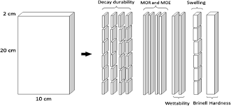 Teak wood furniture that ensures to meet customer requirements. Comparison Of Teak Wood Properties According To Forest Management Short Versus Long Rotation Springerlink