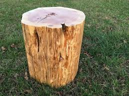 Tree Trunk Live Edge Nightstand Tablebase Tree Trunk Table Stump Table Stump Seat Rustic Real Wood Stump Table Coffee Table Wood Stump Coffee Table