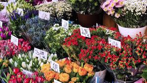 Memiliki keunikan pada kepala bunganya yang besar dan berdiameter lebar yang bisa. 4 Jenis Bunga Potong Yang Cocok Diletakkan Dalam Rumah Times Indonesia