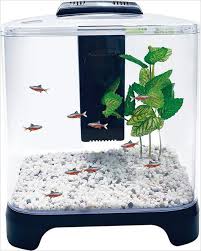Betta Fish Tank Betta Fish Tanks 1 42 Of 42 Results Filter Sort By Available For Pickup At Aqueon Led Mi In 2020 Fish Tank Design Betta Fish Betta Fish Tank